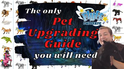 flyff universe pet guide